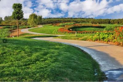 露營、高爾夫、花海… 荊州又一休閑觀光新地標