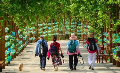 山泉覓清涼，隱匿在大山深處的最美齊長城百果園休閑觀光活動