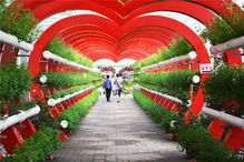 好嗨喲！農業嘉年華五一火爆開局，引爆休閑觀光新風尚